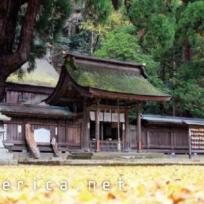 若狭姫神社(下社)本殿